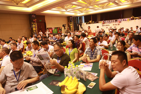 阿里大師水漆 阿里大師水漆